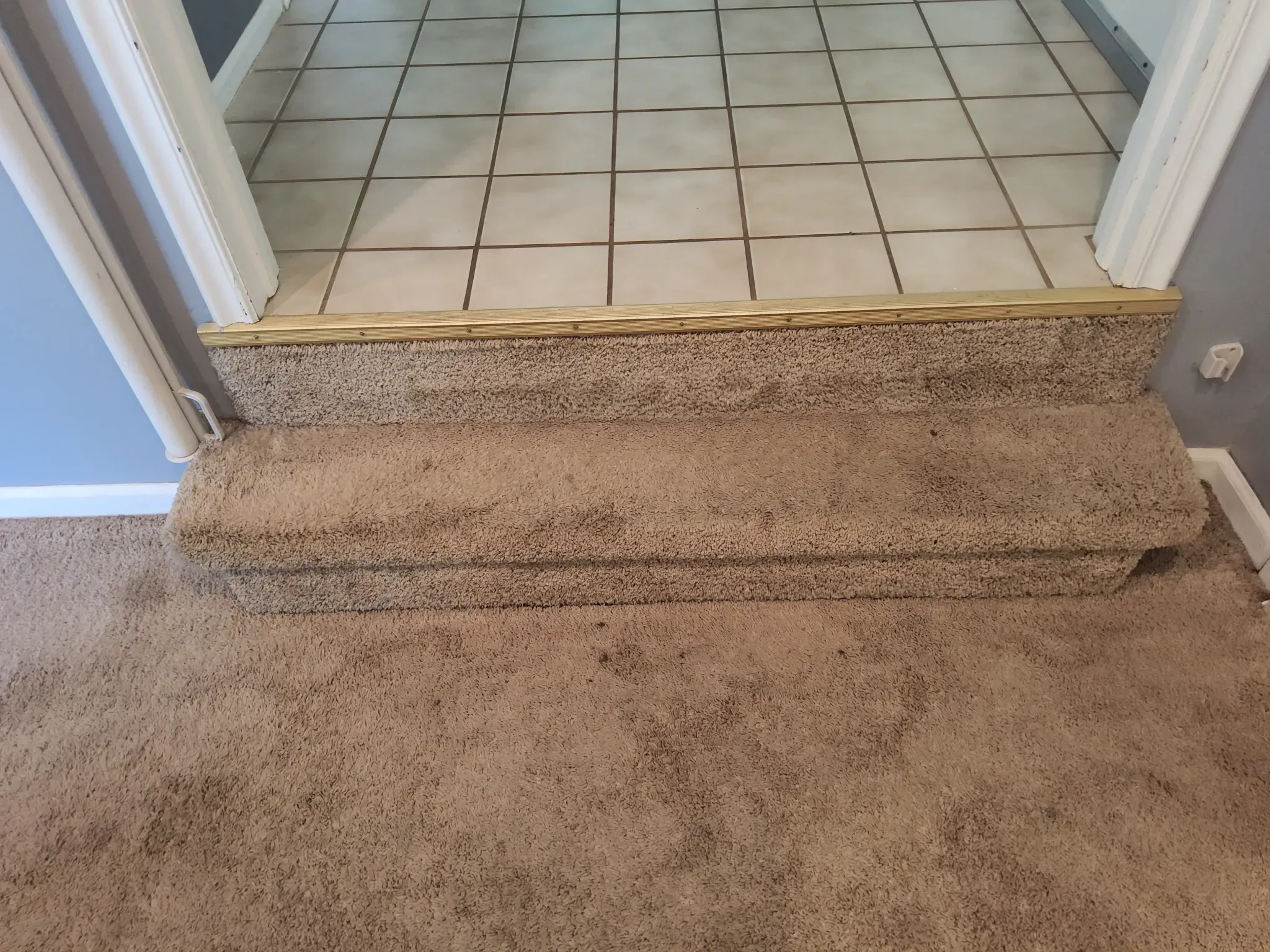 carpet before remodel